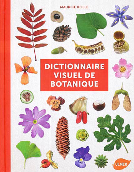 Couverture du livre Dictionnaire visuel de la botanique