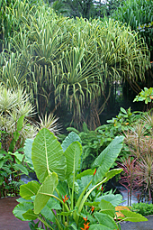 Jardin Tropical Mioulane MAP NPM 719516234