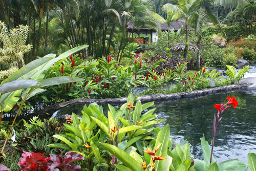 Jardin Tropical Tabacon Mioulane MAP NPM 719516247