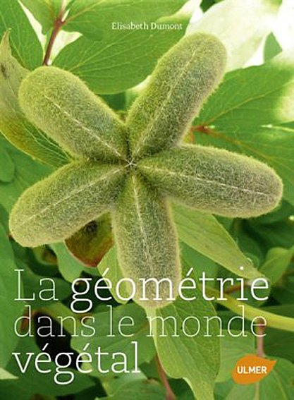 La geometrie dans le monde vegetal