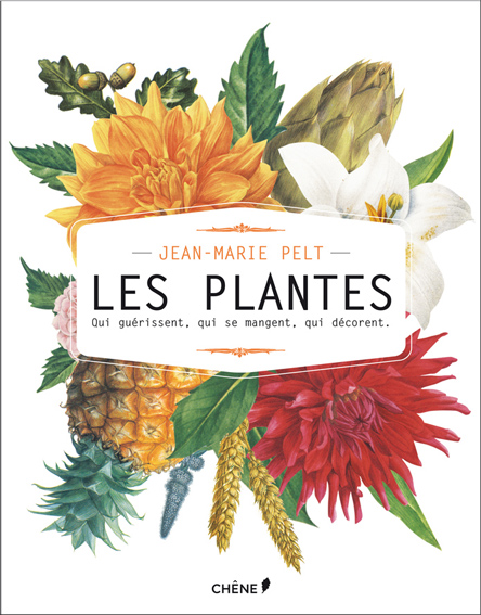 Plantes