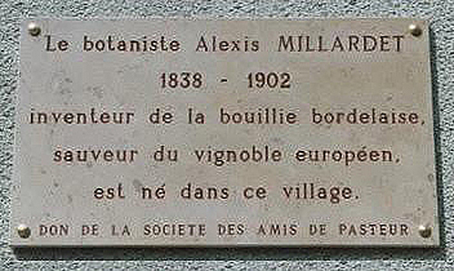 Alexis Millardet-PLaque