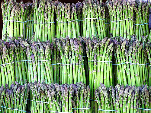 Asperge Verte Botte