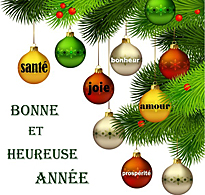 Bonne-annee 2015