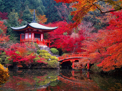 Jardin Japon Saiho-Ji-Kyoto-automne