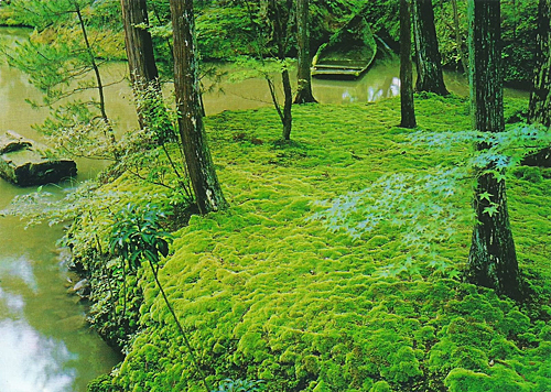 Jardin Japon Saijo-Ji