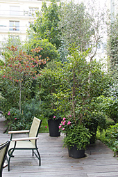 Jardin Terrasse Pot Risser1 MAP NPA DSF1540