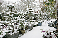 Jardin hiver Neige Mioulane MAP NPM 850369029