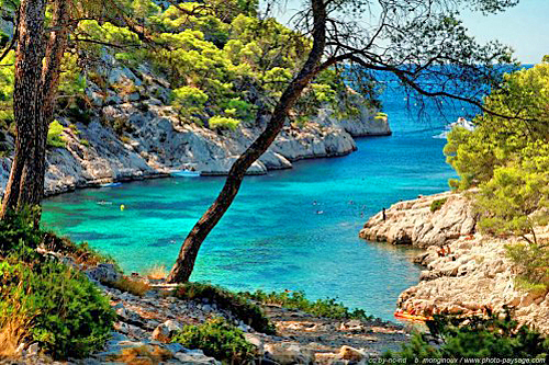 Paysage littoral France Vegetation