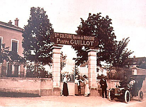 Roseraie-Guillot
