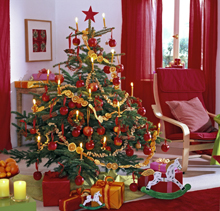 Sapin-Noel MAP 61005939 FST