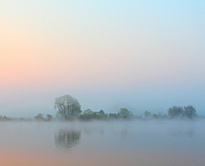 Brouillard Hiver Matin