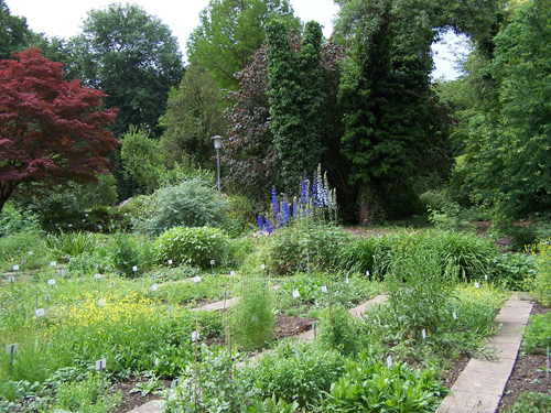 Jardin botanique Gottingen