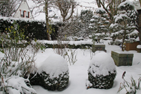 Jardin hiver neige-Mioulane MAP NPM 914378185