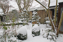 Jardin hiver neige MAP NPM 914378187