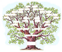 Arbre genealogique