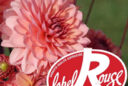 I Grande 16030 les dahlias label rouge.net
