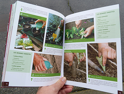 Potager pas a pas interieur