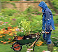 Jardinage pluie