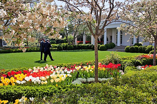 Roseraie Maison Blanche USA