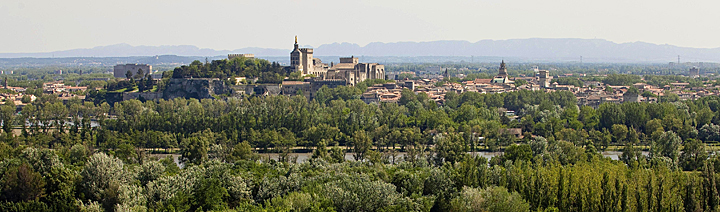 vue sur le palais des papes abbaye saint andre