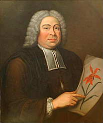 Johann Jacob Dillenius