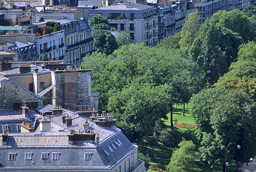 Paris Foch Arbre MAP YMO GIP0105591