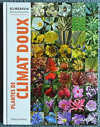 Plantes climats Doux Ulmer 3