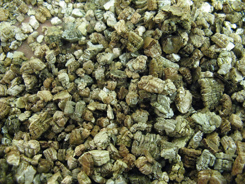 Vermiculite exfoliee