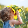 Enfant Fleur Tournesol