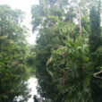 Tortuguero Costa Rica Mioulane MAP MAP 0004800