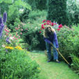 Binage Jardin Mioulane MAP NPM GIP0103196