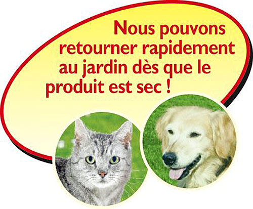 Logo chien chat Finalsan