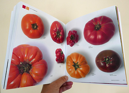 Saveurs Gourmandes Tomates P1010128