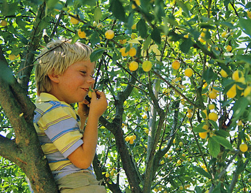 Enfant Mirabelle Mioulane MAP NPM GIP0016039