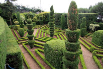 Funchal Botanical garden