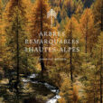 arbres remarquables hautes Alpes