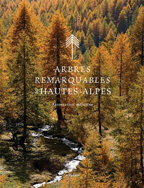 arbres remarquables hautes Alpes