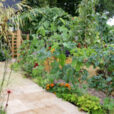 Jardin Verger Mioulane MAP NPM 84969093