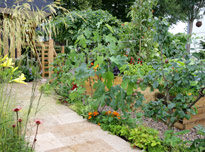 Jardin Verger Mioulane MAP NPM 84969093