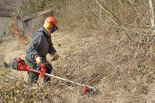 Debroussaillage Ronce Pasquel MAP NPA 121017116