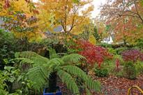 Jardin automne Mioulane MAP P1020930