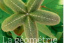 Geometrie Vegetal NewsjardinTV