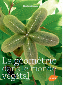 Geometrie Vegetal NewsjardinTV