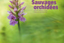 sauvages orchidees fr 725