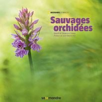 sauvages orchidees fr 725