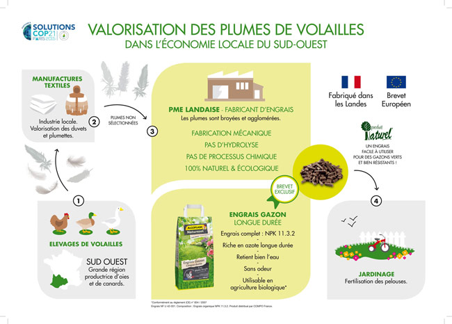 Algoflash Naturasol Infographie