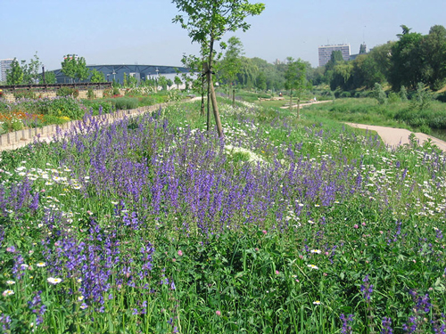 parc de la seille Metz