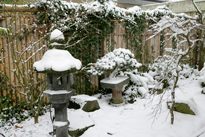 Jardin Japonais Hiver Mioulane MAP NPM 850369063