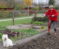 Labour Potager Nicole Mioulane NewsJardinTV P1030457